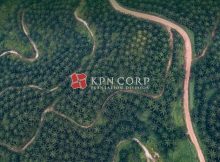 KPN Plantation